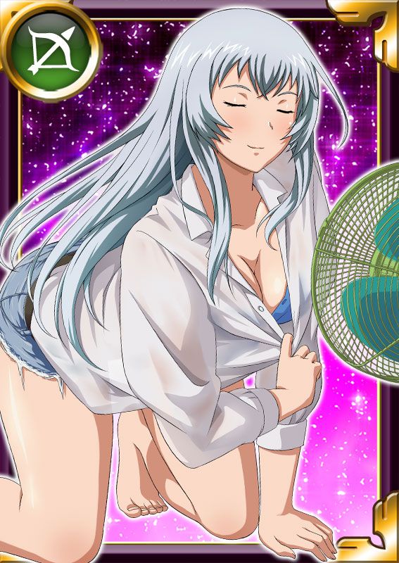 Ikkitousen Cards Coleccyion  Chou-un Shiryuu set 36