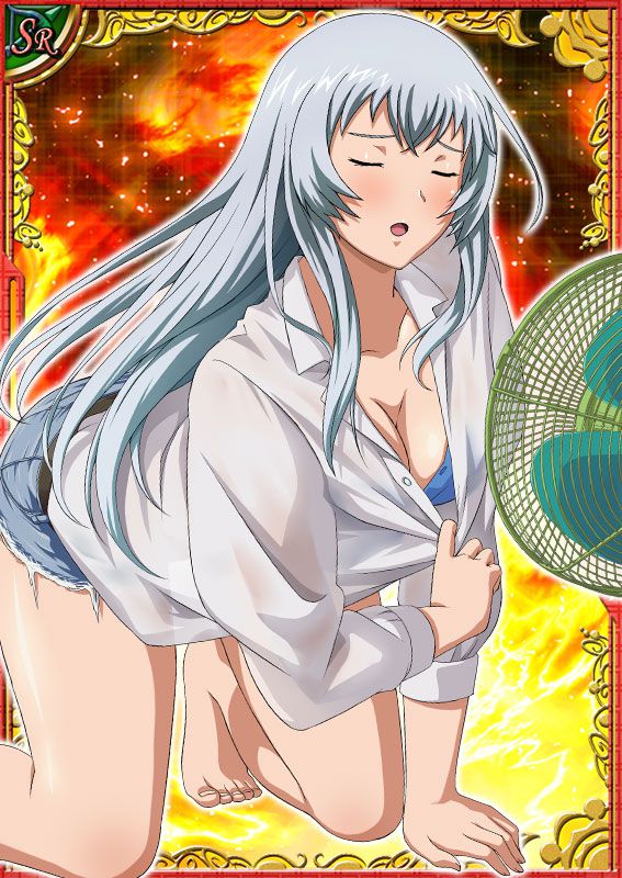 Ikkitousen Cards Coleccyion  Chou-un Shiryuu set 37