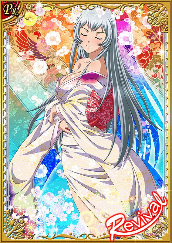 Ikkitousen Cards Coleccyion  Chou-un Shiryuu set 375