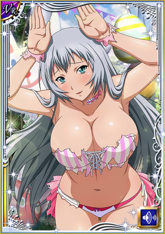 Ikkitousen Cards Coleccyion  Chou-un Shiryuu set 411