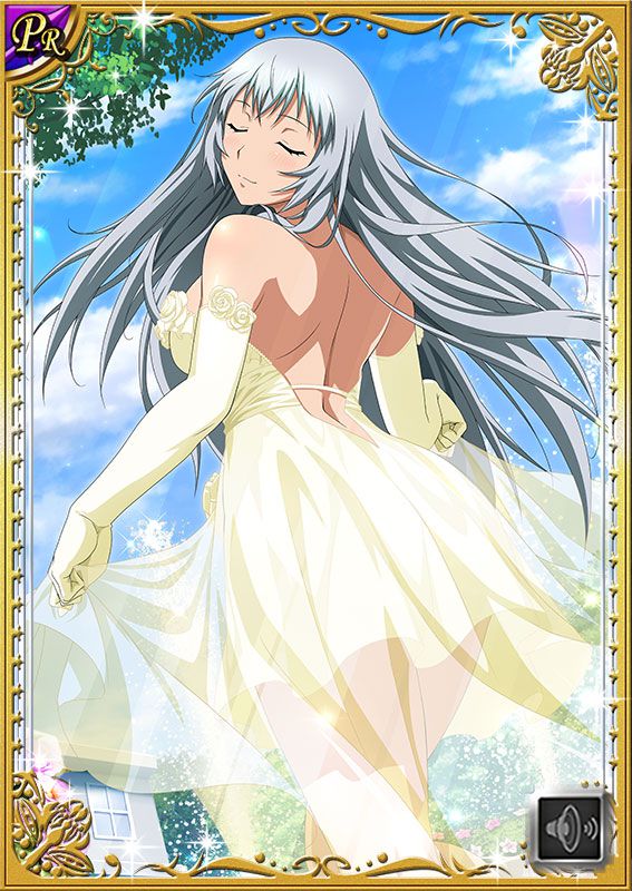 Ikkitousen Cards Coleccyion  Chou-un Shiryuu set 421