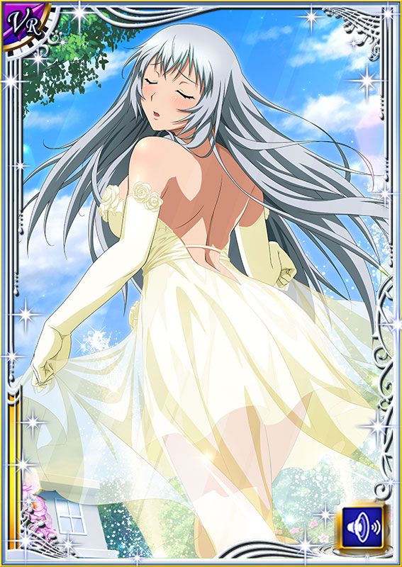 Ikkitousen Cards Coleccyion  Chou-un Shiryuu set 423