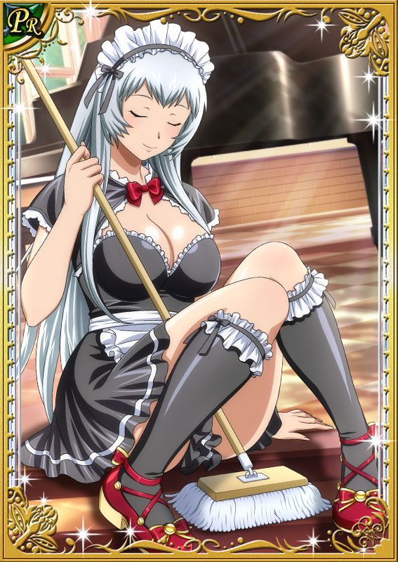 Ikkitousen Cards Coleccyion  Chou-un Shiryuu set 425