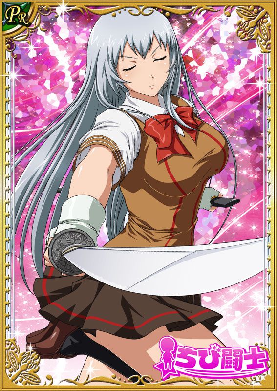 Ikkitousen Cards Coleccyion  Chou-un Shiryuu set 448