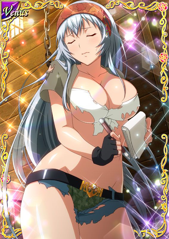 Ikkitousen Cards Coleccyion  Chou-un Shiryuu set 456