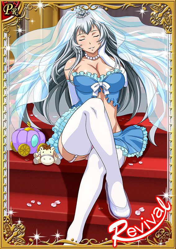 Ikkitousen Cards Coleccyion  Chou-un Shiryuu set 469