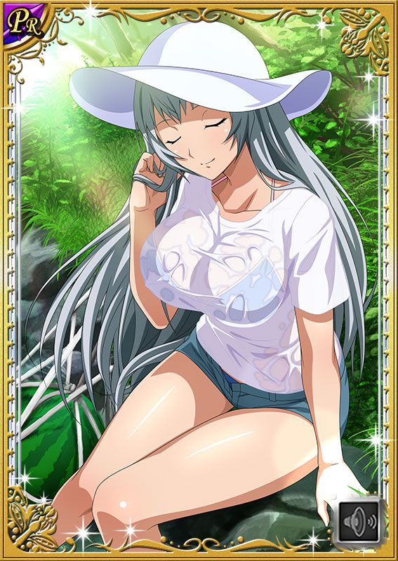 Ikkitousen Cards Coleccyion  Chou-un Shiryuu set 473