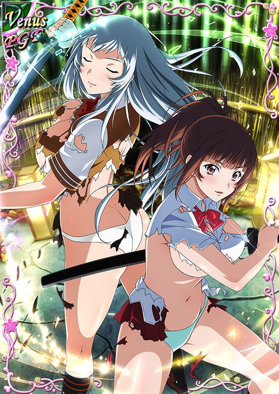 Ikkitousen Cards Coleccyion  Chou-un Shiryuu set 478