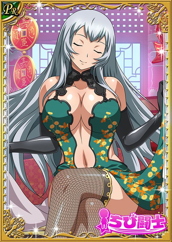 Ikkitousen Cards Coleccyion  Chou-un Shiryuu set 486