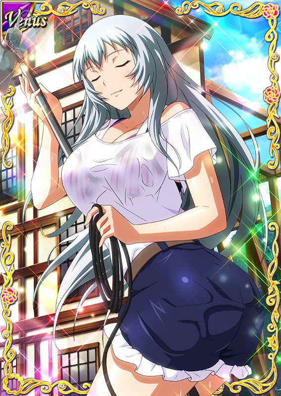 Ikkitousen Cards Coleccyion  Chou-un Shiryuu set 490