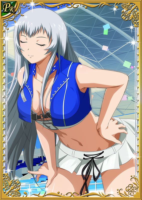 Ikkitousen Cards Coleccyion  Chou-un Shiryuu set 494