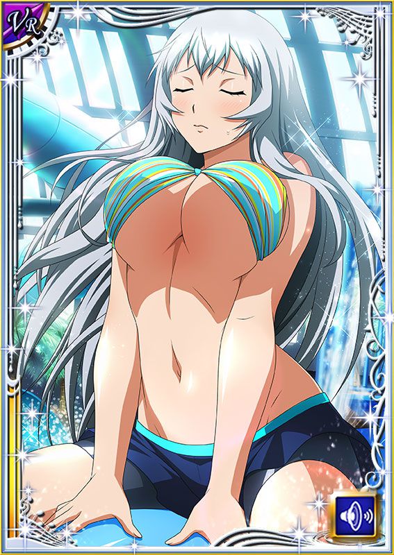 Ikkitousen Cards Coleccyion  Chou-un Shiryuu set 504