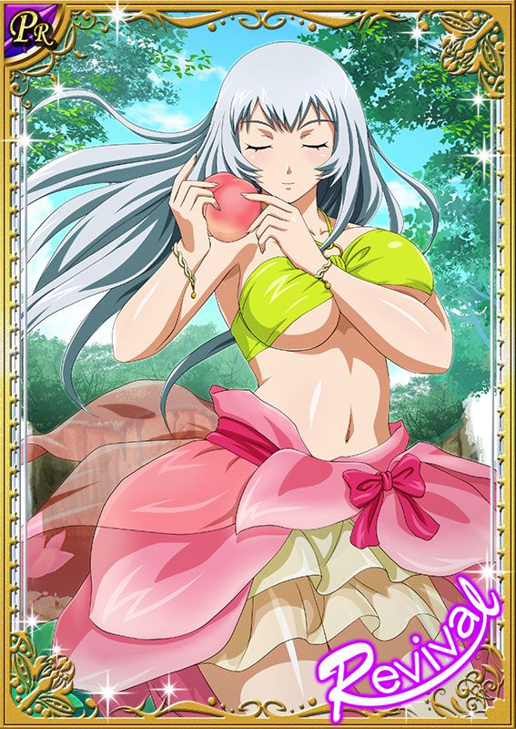 Ikkitousen Cards Coleccyion  Chou-un Shiryuu set 520