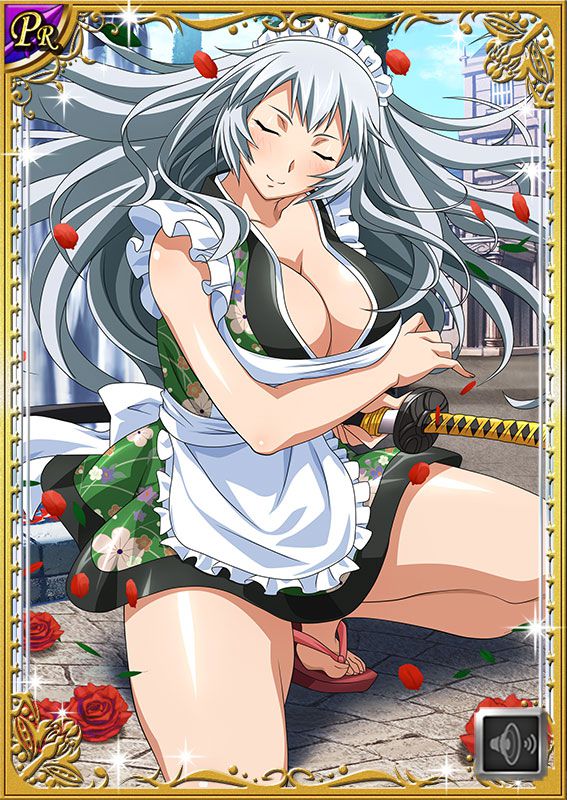 Ikkitousen Cards Coleccyion  Chou-un Shiryuu set 53