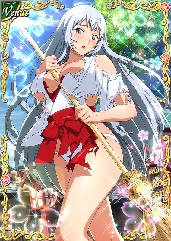 Ikkitousen Cards Coleccyion  Chou-un Shiryuu set 533