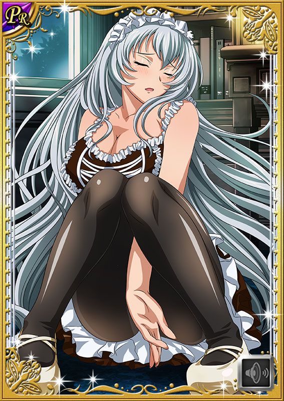 Ikkitousen Cards Coleccyion  Chou-un Shiryuu set 55