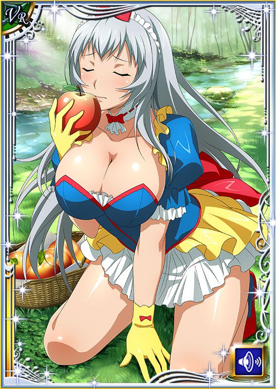 Ikkitousen Cards Coleccyion  Chou-un Shiryuu set 582