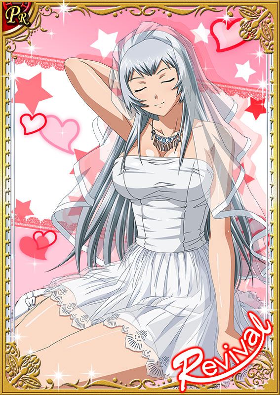 Ikkitousen Cards Coleccyion  Chou-un Shiryuu set 590