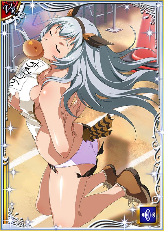 Ikkitousen Cards Coleccyion  Chou-un Shiryuu set 595