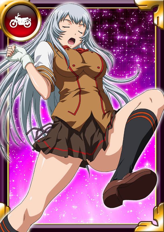 Ikkitousen Cards Coleccyion  Chou-un Shiryuu set 640