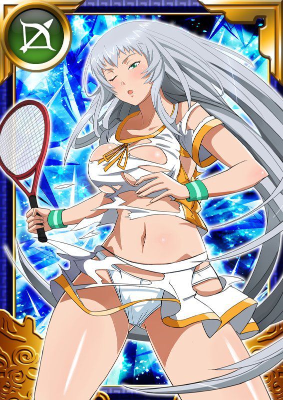 Ikkitousen Cards Coleccyion  Chou-un Shiryuu set 654