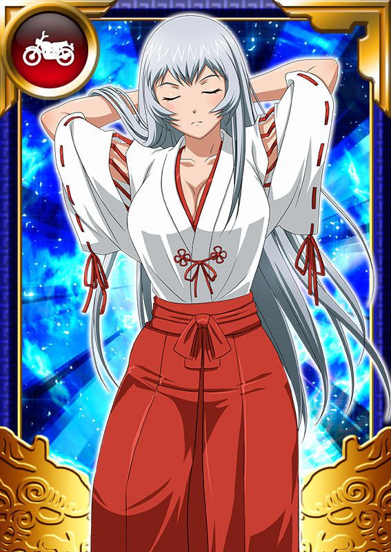 Ikkitousen Cards Coleccyion  Chou-un Shiryuu set 658