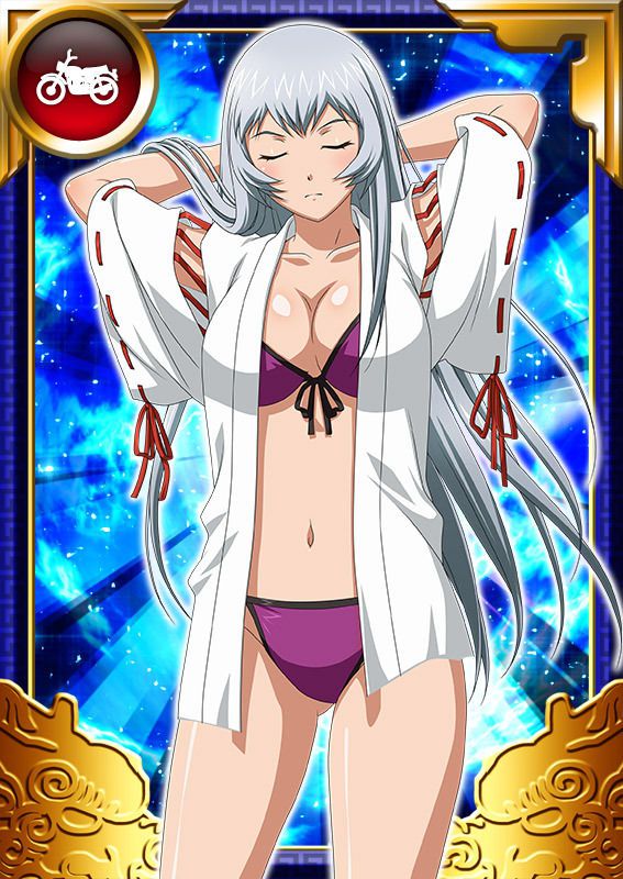 Ikkitousen Cards Coleccyion  Chou-un Shiryuu set 659