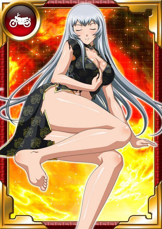 Ikkitousen Cards Coleccyion  Chou-un Shiryuu set 665