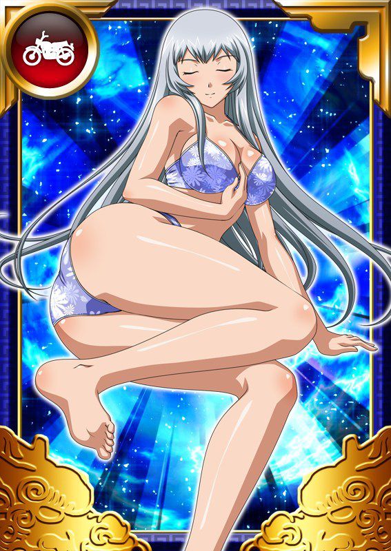 Ikkitousen Cards Coleccyion  Chou-un Shiryuu set 667