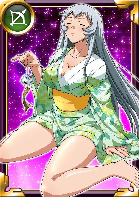 Ikkitousen Cards Coleccyion  Chou-un Shiryuu set 668