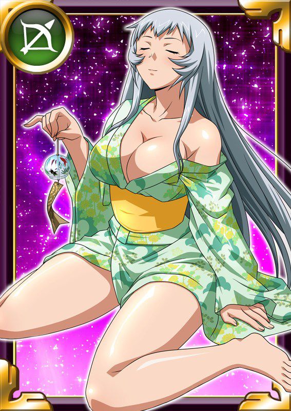 Ikkitousen Cards Coleccyion  Chou-un Shiryuu set 669