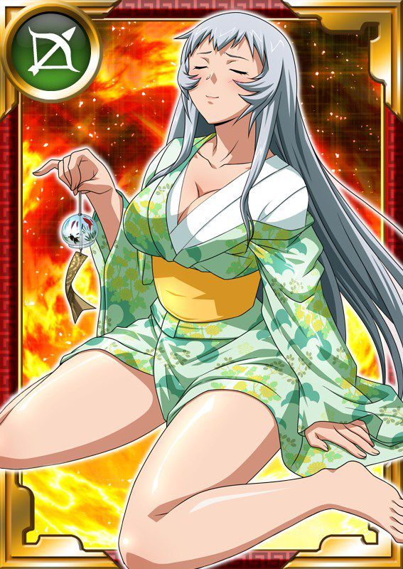 Ikkitousen Cards Coleccyion  Chou-un Shiryuu set 670