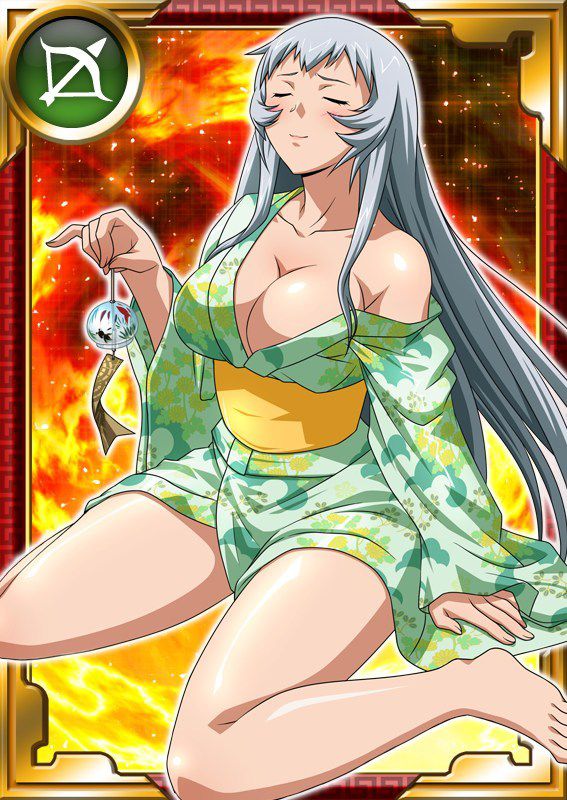 Ikkitousen Cards Coleccyion  Chou-un Shiryuu set 671