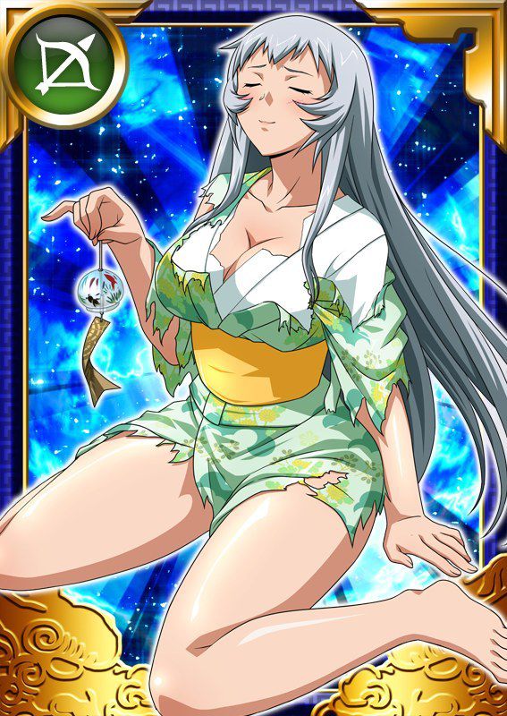 Ikkitousen Cards Coleccyion  Chou-un Shiryuu set 672