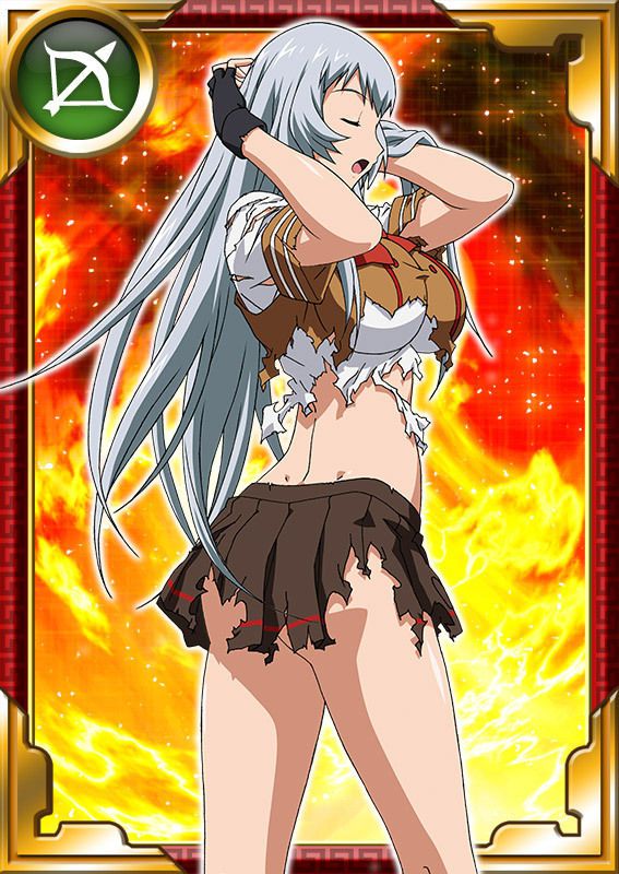 Ikkitousen Cards Coleccyion  Chou-un Shiryuu set 688