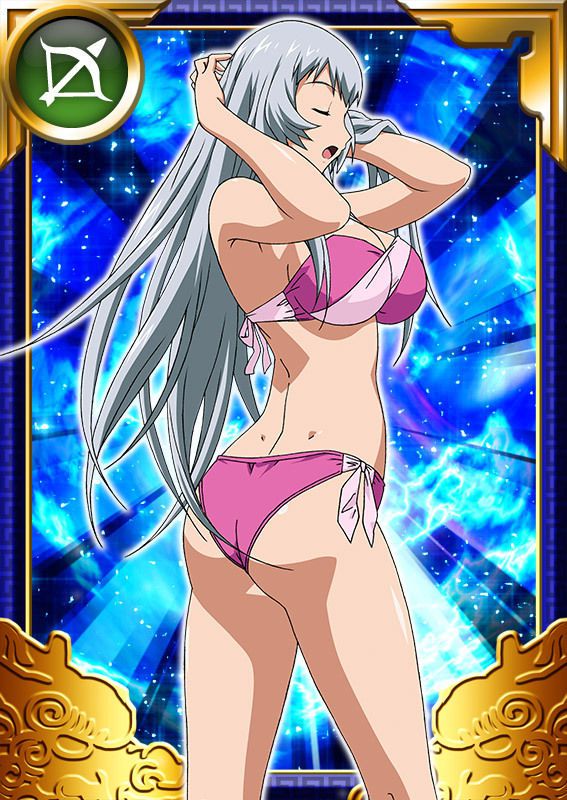 Ikkitousen Cards Coleccyion  Chou-un Shiryuu set 689