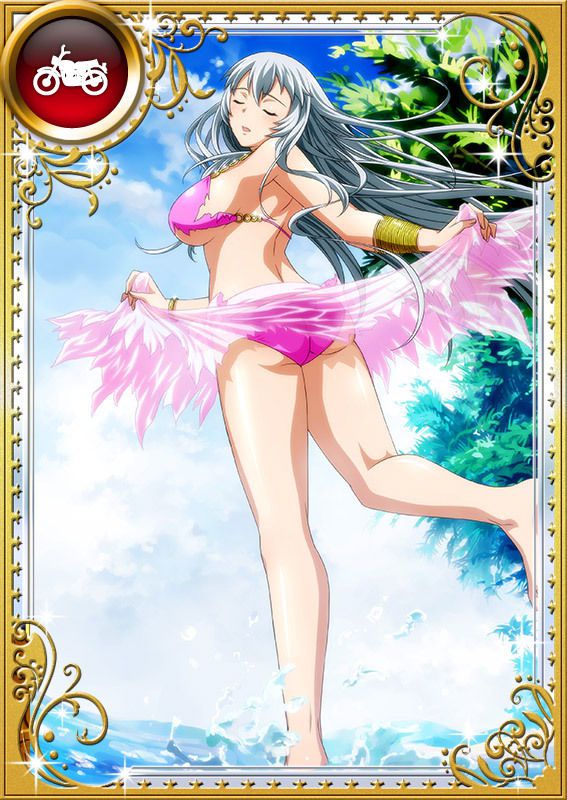 Ikkitousen Cards Coleccyion  Chou-un Shiryuu set 711