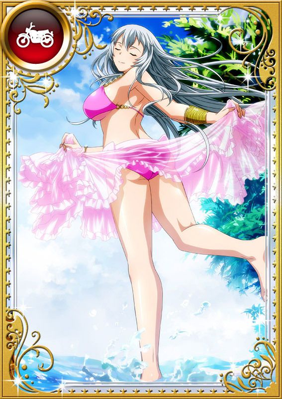 Ikkitousen Cards Coleccyion  Chou-un Shiryuu set 713