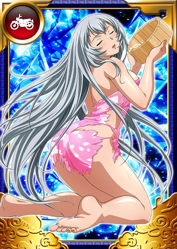 Ikkitousen Cards Coleccyion  Chou-un Shiryuu set 719