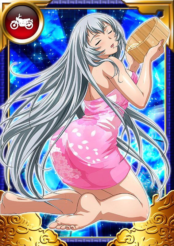 Ikkitousen Cards Coleccyion  Chou-un Shiryuu set 720