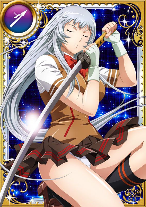 Ikkitousen Cards Coleccyion  Chou-un Shiryuu set 731