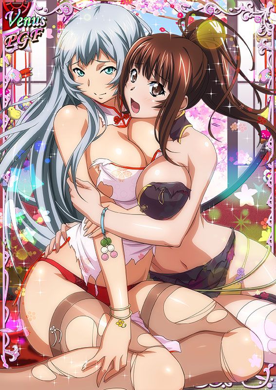 Ikkitousen Cards Coleccyion  Chou-un Shiryuu set 736