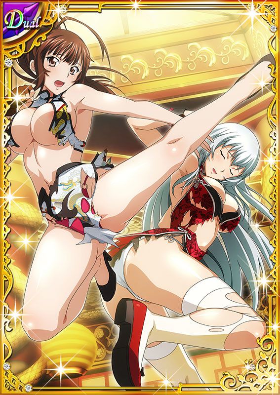 Ikkitousen Cards Coleccyion  Chou-un Shiryuu set 738