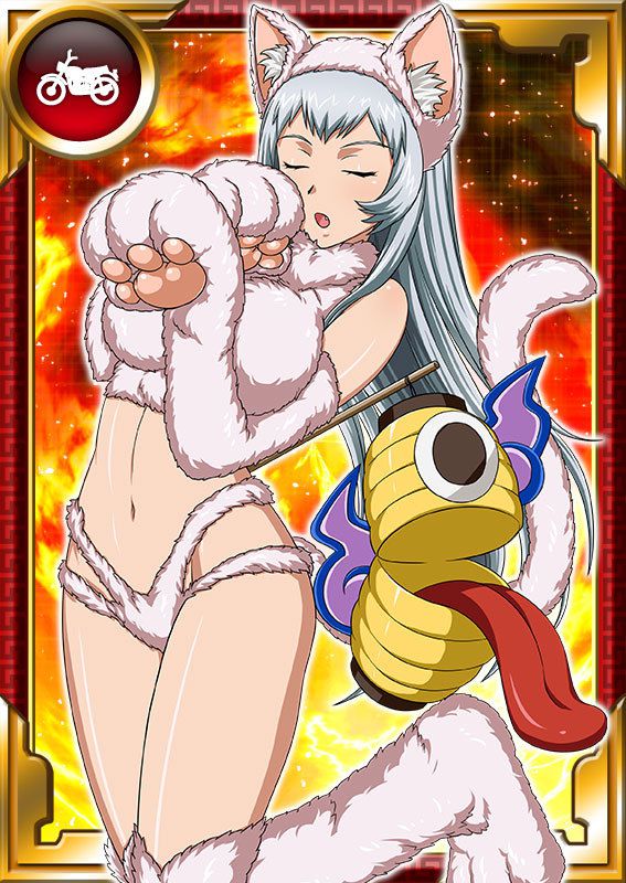 Ikkitousen Cards Coleccyion  Chou-un Shiryuu set 769