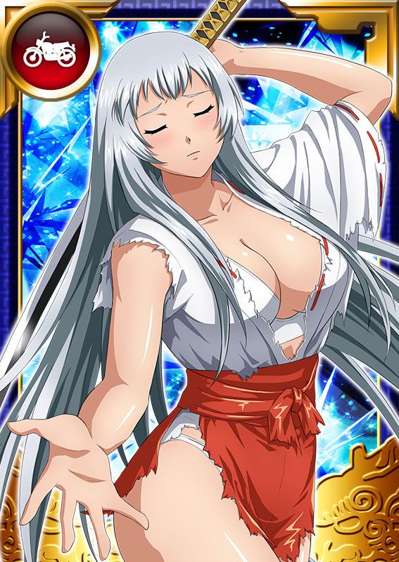 Ikkitousen Cards Coleccyion  Chou-un Shiryuu set 797