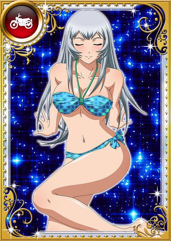 Ikkitousen Cards Coleccyion  Chou-un Shiryuu set 804