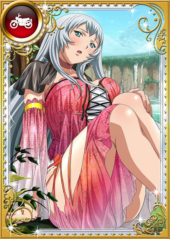 Ikkitousen Cards Coleccyion  Chou-un Shiryuu set 817