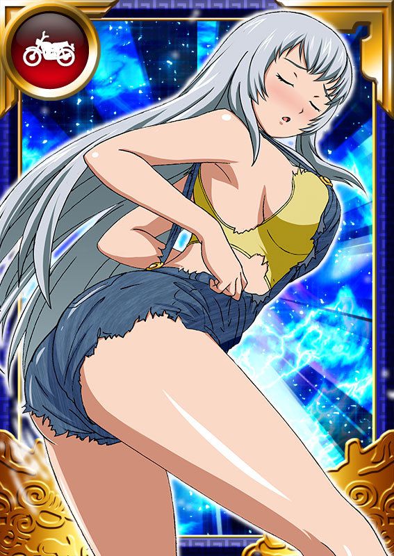 Ikkitousen Cards Coleccyion  Chou-un Shiryuu set 826