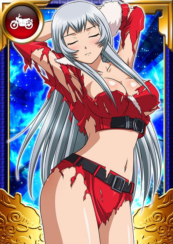 Ikkitousen Cards Coleccyion  Chou-un Shiryuu set 829