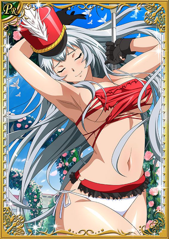 Ikkitousen Cards Coleccyion  Chou-un Shiryuu set 877